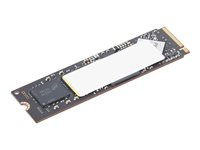 Lenovo - SSD - krypterat - 512 GB - inbyggd - M.2 2280 - PCIe 4.0 (NVMe) - TCG Opal Encryption 2.0 - för ThinkPad T14s 2-in-1 Gen 1; T14s Gen 6; X13 Gen 6; ThinkStation P3 Gen 2; P3 Ultra Gen 2 4XB1T87553