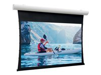 Da-Lite Tensioned Elpro Concept - Projektorduk - takmontering, väggmontering - motoriserad - 230 V - 116.14" (295 cm) - 16:10 - HD Progressive 1.1 - RAL 9016 10101192