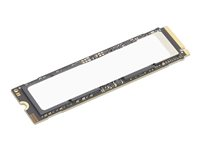 Lenovo - SSD - krypterat - 2 TB - prestanda - inbyggd - M.2 2280 - PCI Express 5.0 x4 (NVMe) - TCG Opal Encryption 2.0 - CRU - för ThinkPad P1 Gen 8; P14s Gen 6; X1 2-in-1 Gen 10; ThinkStation P3 Gen 2; P3 Tiny Gen 2; P5 4XB1S30114