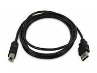StarTech.com - USB-kabel - TAA-kompatibel - USB (hane) till USB typ B (hane) - USB 2.0 SKUSBAB06-TAA
