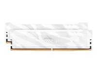 Crucial Pro OC - DDR5 - sats - 32 GB: 2 x 16 GB - DIMM 288-pin - 6400 MT/s / PC5-51200 - CL32 - 1.35 V - ej buffrad - snöfox vit CP2K16G64C32U5W