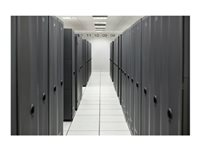 HPE - Sats med lagringskablar P77711-B21