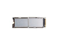 HP - SSD - Value - 256 GB - inbyggd - M.2 2280 - PCIe 4.0 x4 (NVMe) - för Workstation Z2 G9 (mini) 4N009AA
