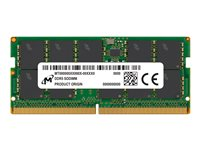 Micron - DDR5 - modul - 16 GB - SO DIMM 262-pin - 5600 MHz / PC5-44800 - CL46 - registrerad - ECC MTC10C1084S1TC56BD1R