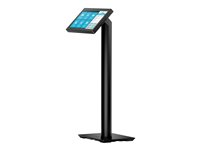 HP Engage Pole Display - Kunddisplay - 6.6" - för Engage One Essential 10P79AA