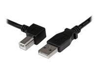 StarTech.com 2m USB 2.0 A to Left Angle B Cable Cord - 2 m USB Printer Cable - Left Angle USB B Cable - 1x USB A (M), 1x USB B (M) (USBAB2ML) - USB-kabel - USB typ B (hane) till USB (hane) - USB 2.0 - 2 m - vänstervinklad kontakt - svart USBAB2ML