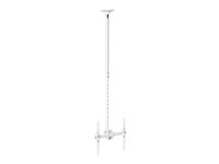 HI-ND Ceiling Mount Universal - Monteringssats (takmontering, teleskoppåle) - för LCD-display - vit, RAL 9003 - skärmstorlek: 32"-55" C-CM01-01