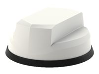 Panorama Antennas Great White L[G]M[H]M-6-60 - Antenn - radom - cellulär - rundstrålande - panelmonterbar, vehicle LPMM-6-60