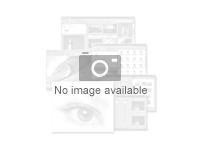 Absolute Control - Term License (5 år) - volym - 250-499 licenser 4L41M24438