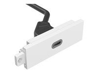 VISION TechConnect 3 - Modulkontaktplatta med snapin-fästen och kablar - USB Typ C - vit TC3 USBC