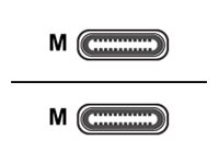 dbramante1928 re-charge - USB-kabel - 24 pin USB-C (hane) till 24 pin USB-C (hane) - 1.5 m - flätad kabel, USB-C Power Delivery (60W) - grön CB20CCGR7207